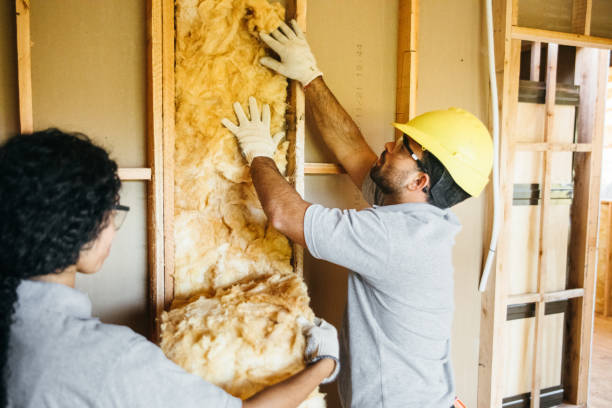 Best Residential Insulation Services  in Poquott, NY